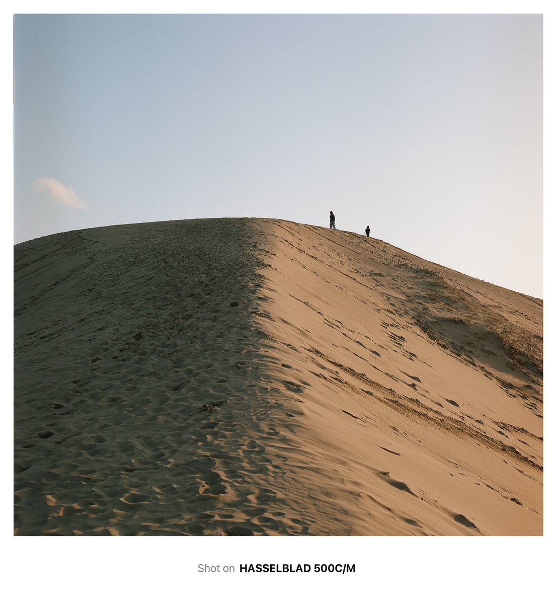 souvenir878's tweet image. 新しいカラーネガフィルム
「LomoChrome Color ’92」
120も発売予定らしくめっちゃ楽しみ！
作例俺に撮らせてくれんかなー。
良い写真撮りますよ。