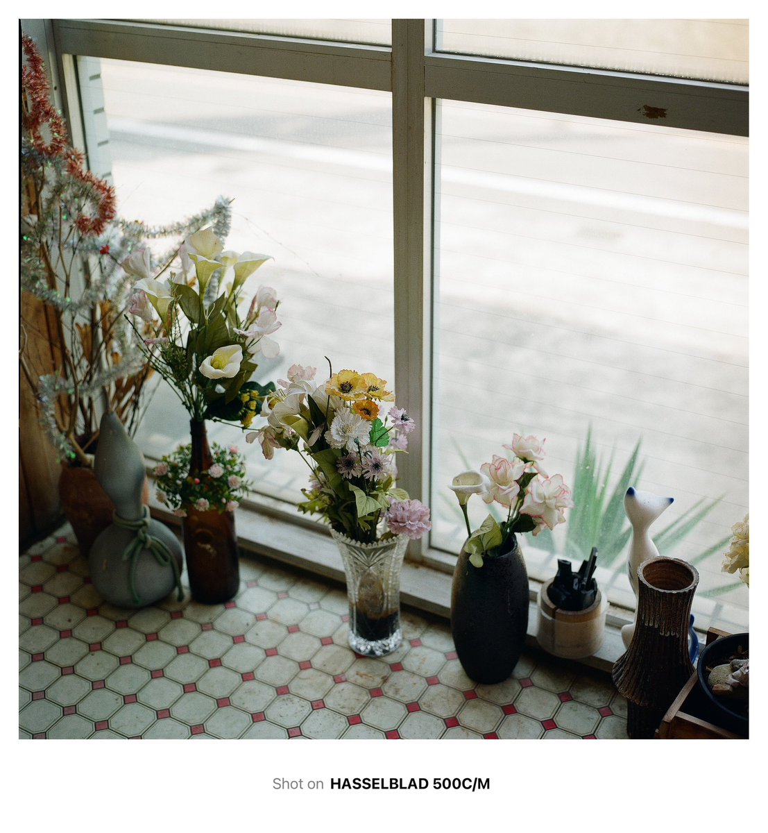 souvenir878's tweet image. 新しいカラーネガフィルム
「LomoChrome Color ’92」
120も発売予定らしくめっちゃ楽しみ！
作例俺に撮らせてくれんかなー。
良い写真撮りますよ。