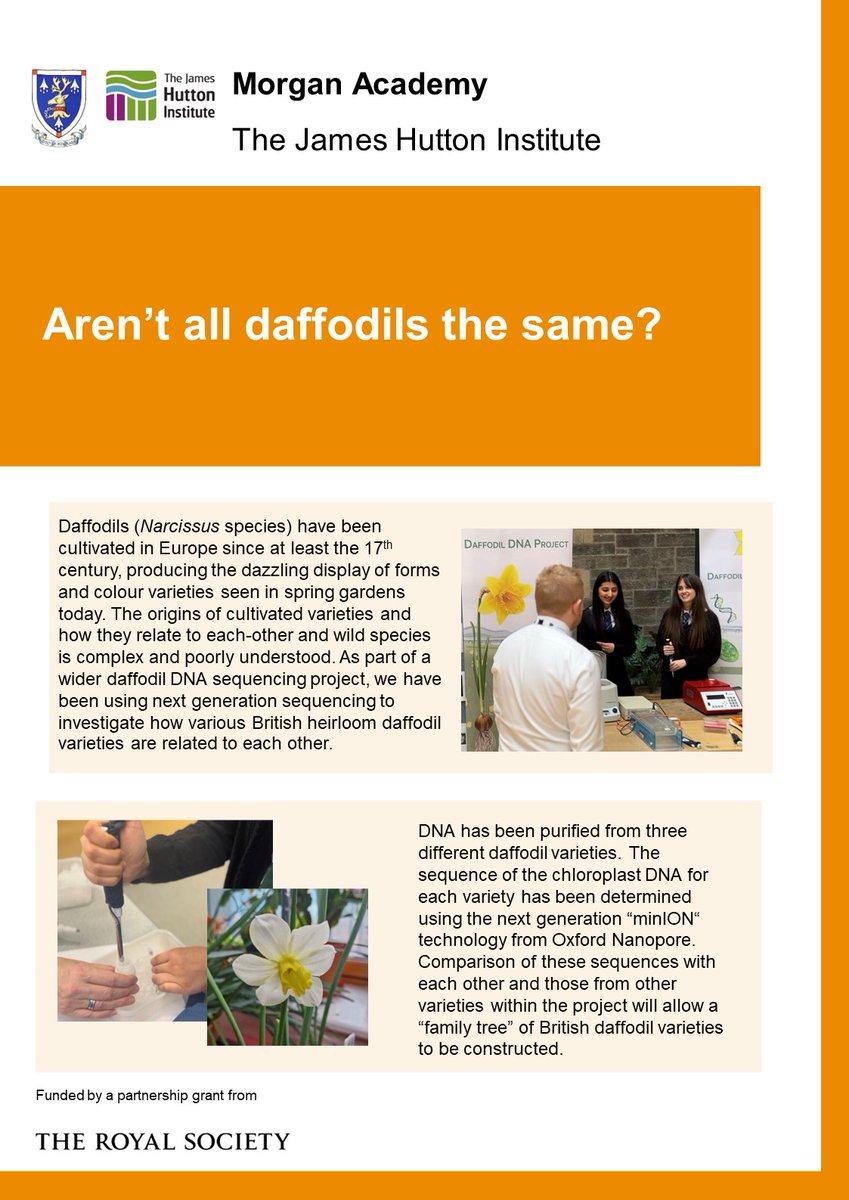 The Royal Society tweet media