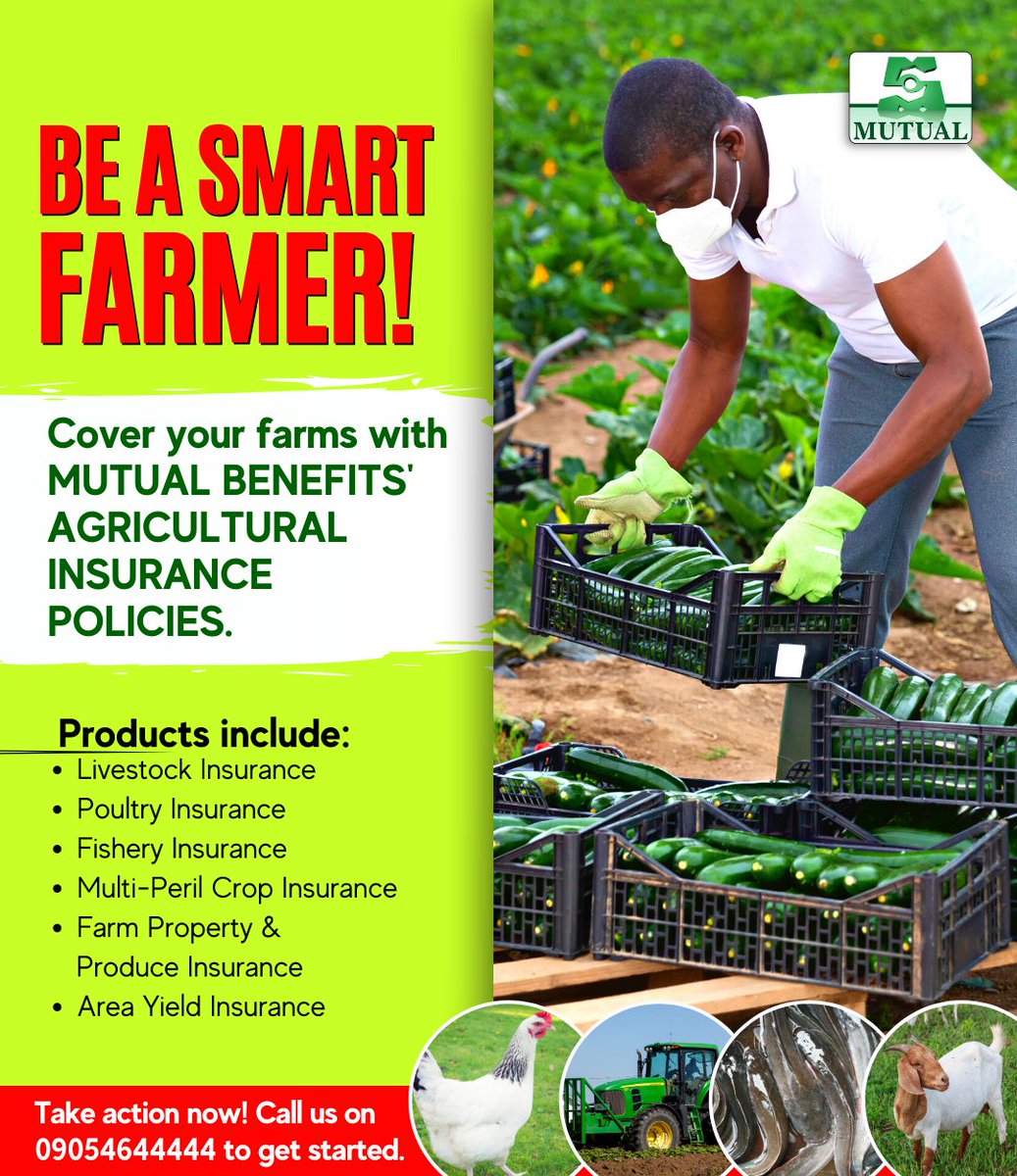 MutualPlc's tweet photo. Protect your Farm with MUTUAL BENEFITS’ Agricultural Insurance Policies.
Take action now; call MUTUAL CARE on 09054644444 or send a WhatsApp chat to 08169042592, to get started.
#Mutualdelights #Agricinsurance #Farm #Farmer #farmlife #Business #Businessowner https://t.co/CuP8afNRZB