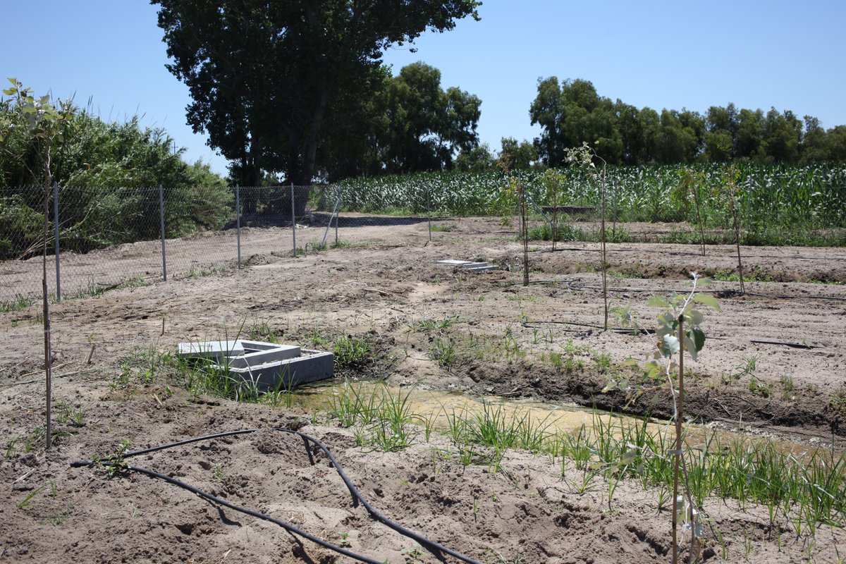 MenawaraENI's tweet photo. #MENAWARA partners joined for a technical field visit to the Forested Infiltration Area system experimental site and to @AqabaMediss project site in Arborea 🇮🇹 #GOMED #ENICBCMED #Mediterranean #water #nonconventionalwater #research #internationalcooperation https://t.co/OVAk9VwmSU