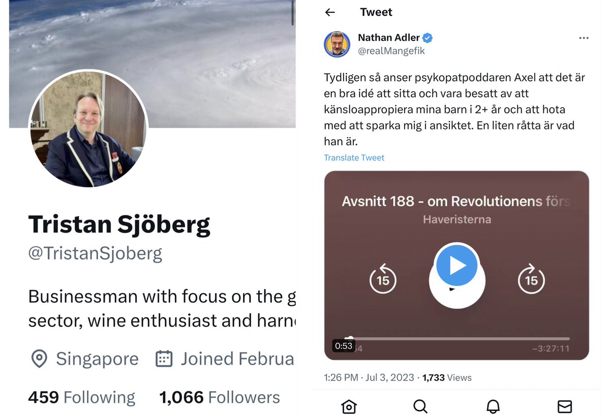 Det är Erik Stenhammar och Carl Martin Anmark s vänner. Många är nog övertygade om att Tristan Sjöberg på Betsson Group (<a href="/TristanSjoberg/">Tristan Sjöberg</a>) är överlycklig när de hotar misshandla folk.
