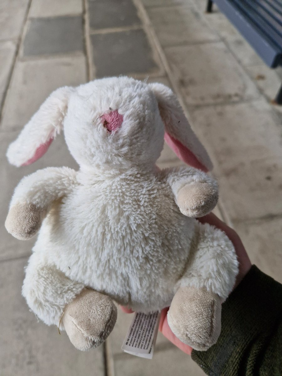 pt_phone_home's tweet photo. RT please 

Time for some potential twitter magic...

I found this teddy 🧸 outside the gym on the St Patrick's Campus @DCU_IoE @DCU. I have left it at reception. I know my girls would be devastated so please share and hopefully we can reunite with the owner #lostteddy https://t.co/AuJgv5016m