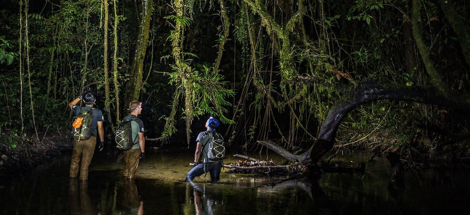 Le plus exclusif des voyages proposés par Nomade  est de retour ! Avec Evrard Wendenbaum en chef d'expédition !

<a href="/GrandsRep/">Grands reportages</a>
<a href="/echotouristique/">L'Echo Touristique</a>
<a href="/Naturevolution/">Naturevolution</a>
<a href="/Evrard_W/">Evrard Wendenbaum</a>

nomade-aventure.com/content/newsle…