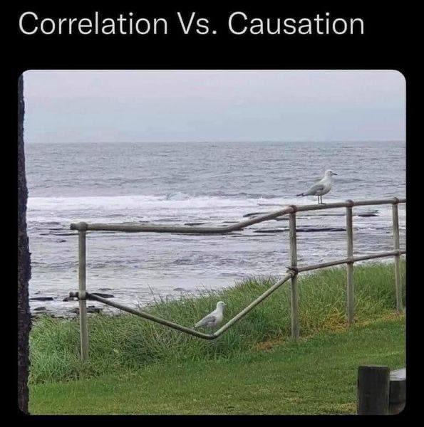 DrDaliaTsimpida's tweet image. Perfect example 😂 #causalinference #correlation #EpiTwitter