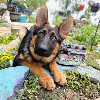 Believe713's tweet photo. #NewProfilePic https://t.co/KFWHPxHC7h