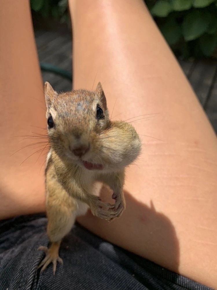 BAĞCILAR ECE (@ful125199555) on Twitter photo 