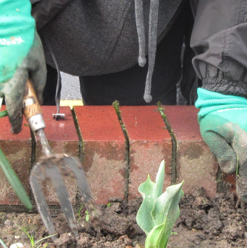 Grow Edgeley tweet media