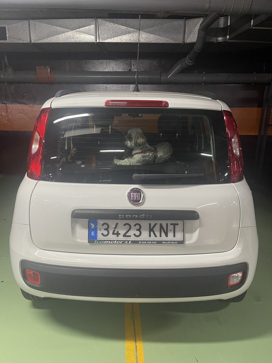 yojordits's tweet photo. Ahora mismo. En el mercadona. Coche ocupando dos plazas y con el perro encerrado con las ventanillas subidas
@policia @policiacanaria @PoliciaCanarias https://t.co/HCvWEDN6pN