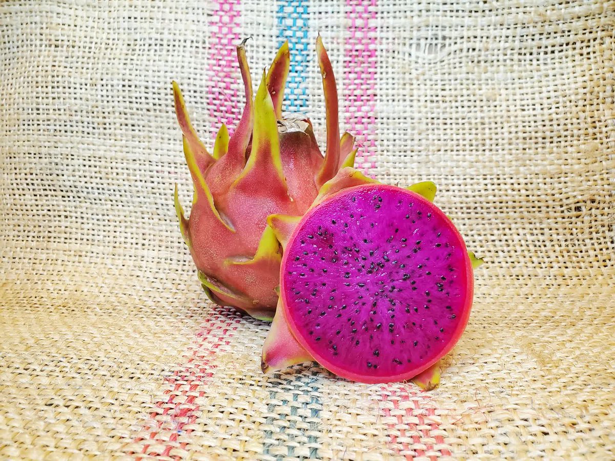 SpicyExotics's tweet photo. Year 3 Sweet as Candy Dragon Fruit variety broke our refractometer at @SpicyExotics. #SpicyExotics #DragonFruit #Pitahaya #SweetAsCandy https://t.co/KYtandw2MN