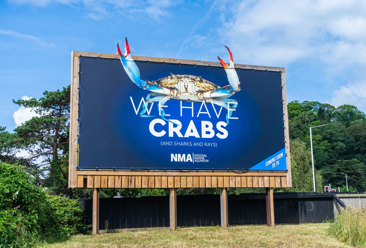 National Marine Aquarium tweet media