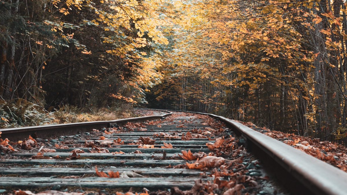 EUSPACEIMAGING's tweet image. The need for vegetation control in utilities and railway corridors is ever expanding. In Situ data collection along thousands of km is expensive compared to the alternative of VHR satellite imagery.
bit.ly/448COnC

#railroad #utilities #vegetationcontrol #remotesensing