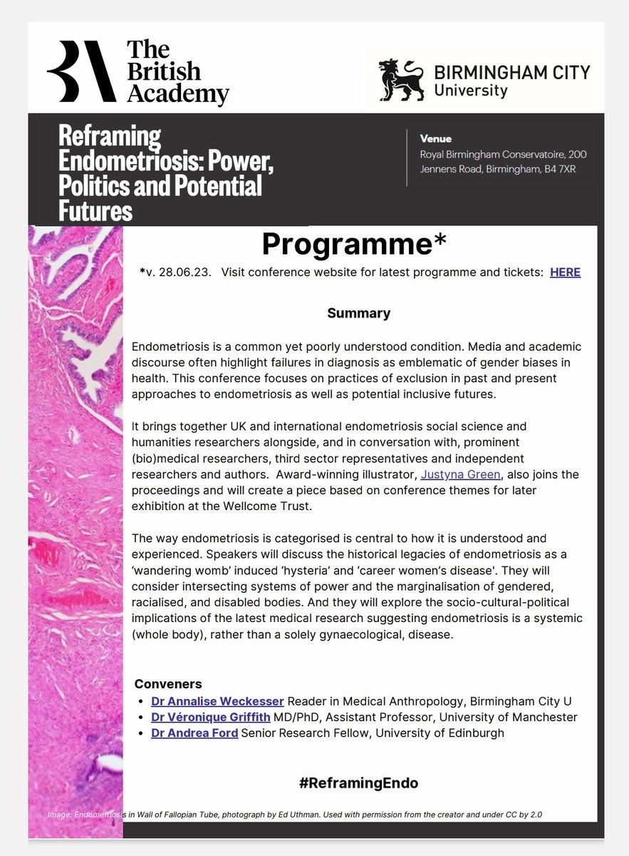 mc_evoy_rebecca's tweet photo. Excellent Conference today exploring #endometriosis and "how we need to disrupt the norm if we're going to have progress" Dr. Annalise Weckesser
#ReframingEndo

Also reframing how conferences are held, a hybrid of in person and online and not a PowerPoint insight! https://t.co/cjCeDMyN84