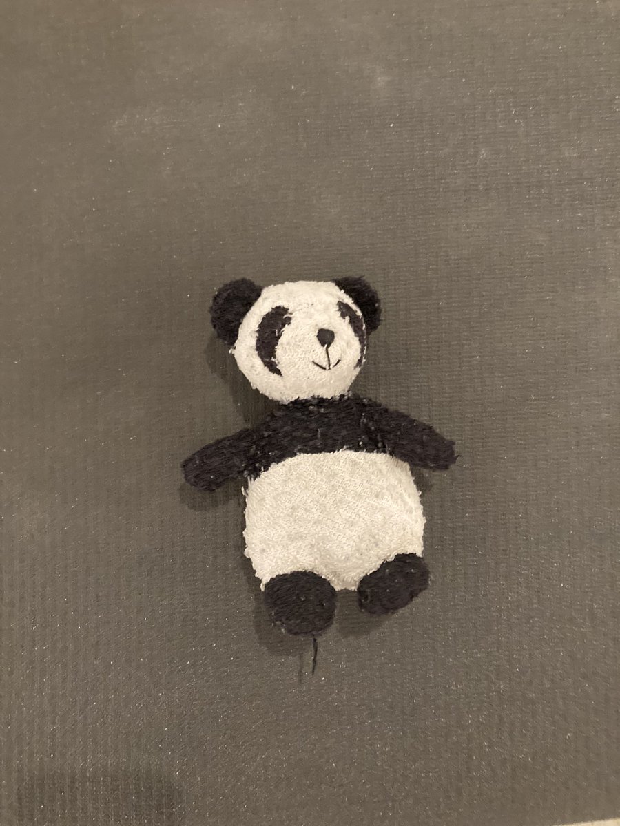 Adventure_Gauss's tweet image. Last night my human and I did yoga at @OttawaArtG My favourite pose is shavasana. We also saw this amazing art piece which is the result of the knitting machine that we saw last year. #yoga #knitting #knittingmachine @greta_grip