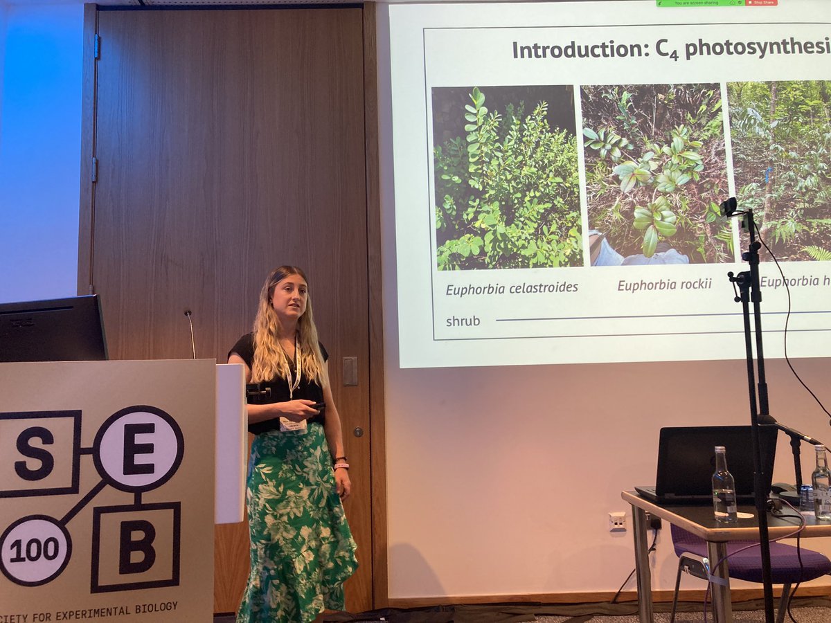 PEPG (@pepg_sig) on Twitter photo <a href="/sheffieldplants/">Colin Osborne</a> <a href="/PPS_UoS/">Plants, Photosynthesis and Soil</a> <a href="/ehneilson/">Elizabeth H J Neilson</a> <a href="/l_teixeiracosta/">Luiza Teixeira-Costa</a> Continuing to deliver on fascinating study species, we are learning about C4 trees (yes, you heard that right) from <a href="/jeunesophie/">Sophie Young is on bsky πβ</a> π³π <a href="/sheffieldplants/">Colin Osborne</a> <a href="/PPS_UoS/">Plants, Photosynthesis and Soil</a> <a href="/ehneilson/">Elizabeth H J Neilson</a> <a href="/l_teixeiracosta/">Luiza Teixeira-Costa</a> Continuing to deliver on fascinating study species, we are learning about C4 trees (yes, you heard that right) from <a href="/jeunesophie/">Sophie Young is on bsky πβ</a> π³π