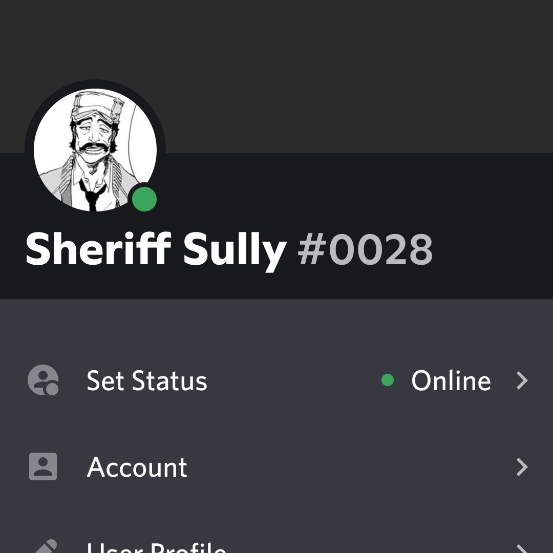 Sheriff Sully |Free Palestine 🍉🍉🍉 tweet media