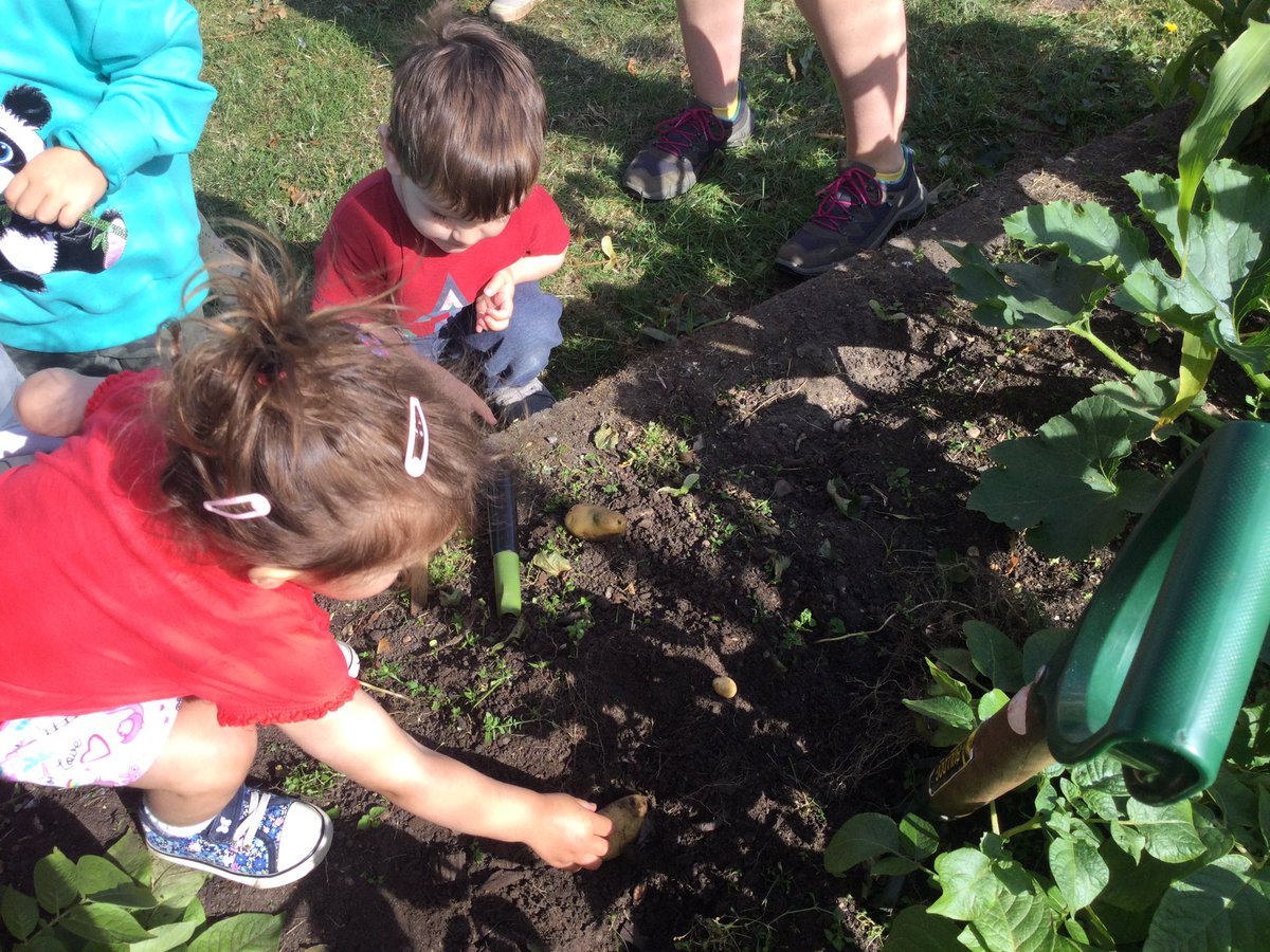 HTAClassSmith's tweet photo. We harvested potatoes, washed, counted and cooked them.We collected herbs and edible petals to mix with butter that we made to have with our potatoes that we cooked on the fire.HTAForestschool https://t.co/CSIHXMiYlC