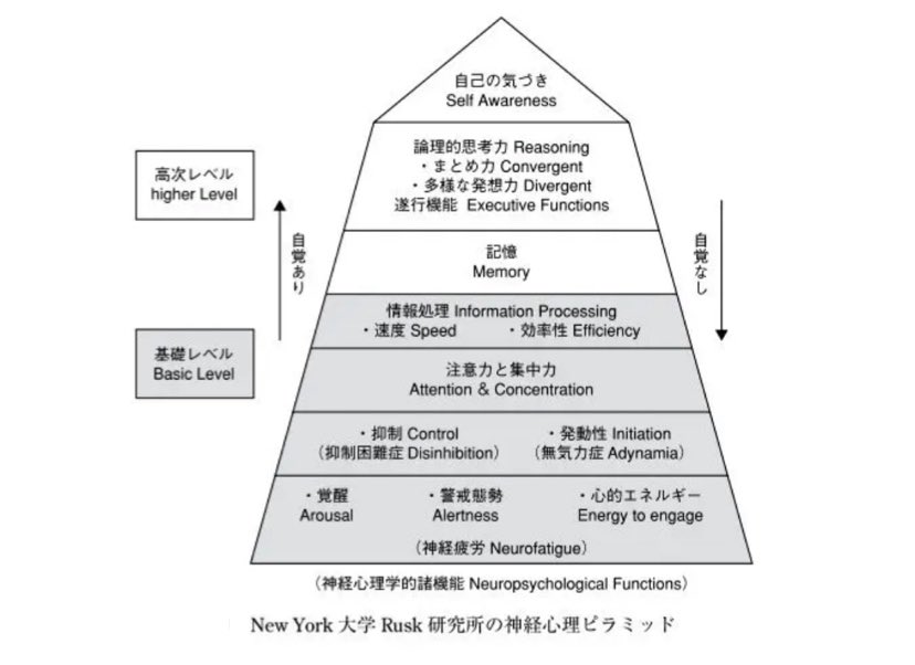 高次脳機能障害を考える時「ラスク研究所の神経心理ピラミッド」を