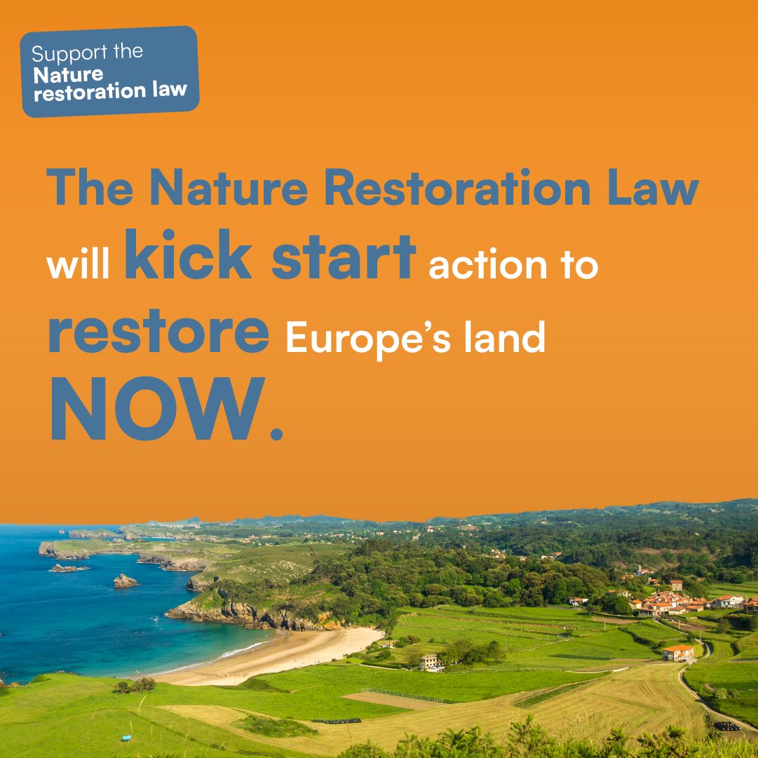 ClimateCLG's tweet photo. Businesses need clear, long-term policy certainty to support the transition to a resilient &amp; sustainable economy.

That’s why we call on @Europarl_EN to support a robust #NatureRestorationLaw.

👉 https://t.co/VE13hLofGF #RestoreNature https://t.co/rNSkDgua97