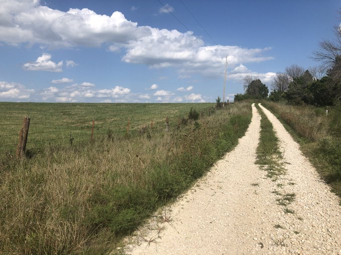 Thriving The Future tweet media