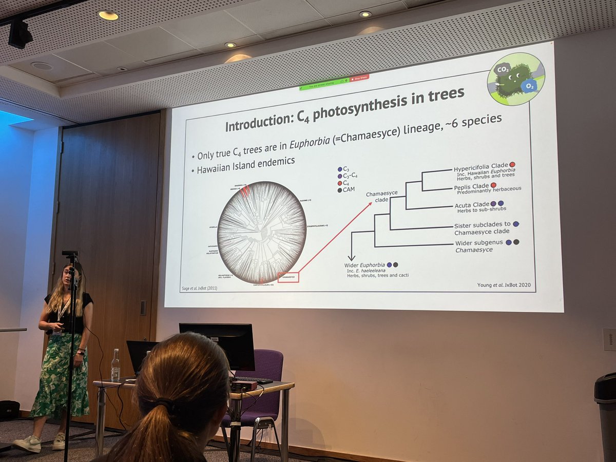 Prof Ros Gleadow FAA (@rosgleadow) on Twitter photo Fascinating analysis by <a href="/jeunesophie/">Sophie Young is on bsky πβ</a> of phylogeny of C3, C4 and CAM trees in Euphorbiaceae on the Hawaiian islands #SEBconference Fascinating analysis by <a href="/jeunesophie/">Sophie Young is on bsky πβ</a> of phylogeny of C3, C4 and CAM trees in Euphorbiaceae on the Hawaiian islands #SEBconference
