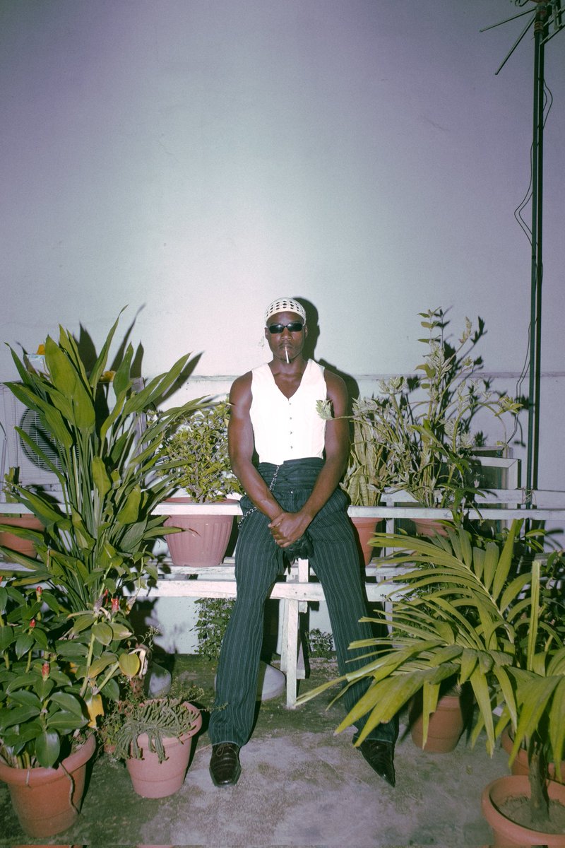 the outlier. tweet media