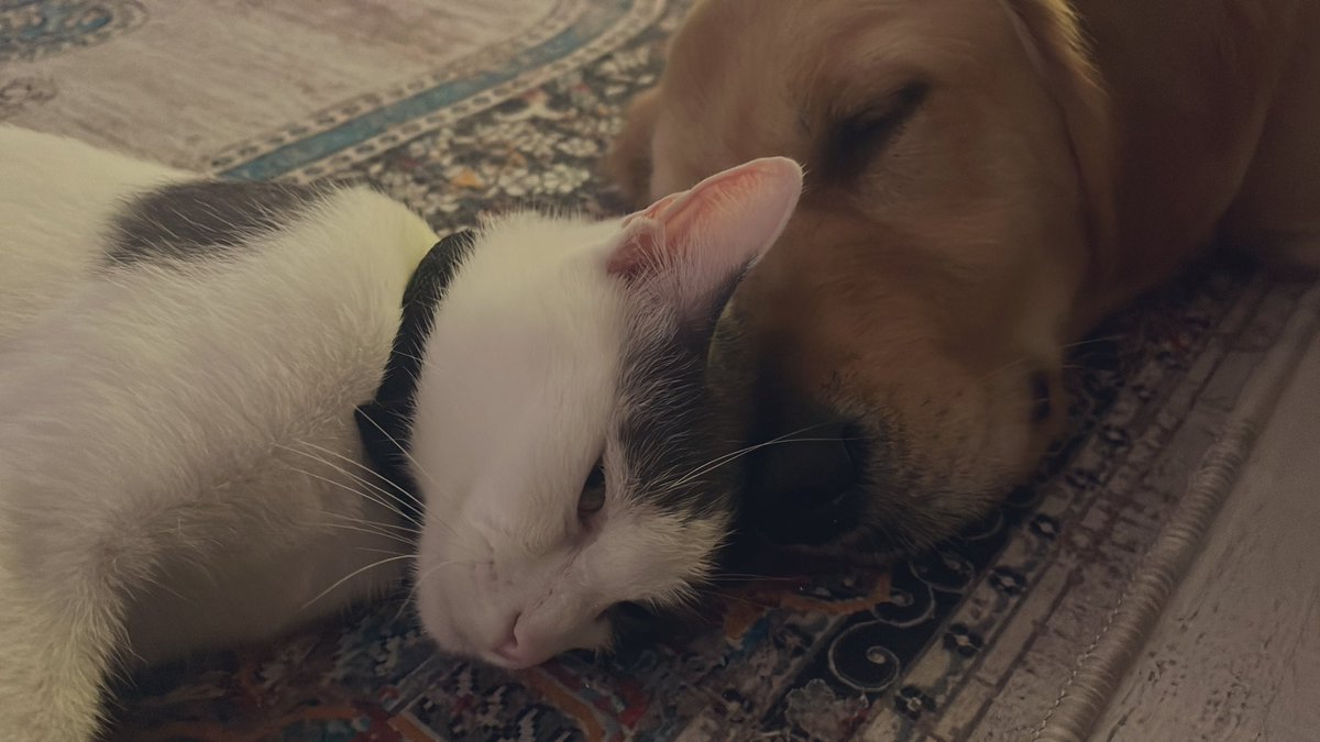 Beni daha güzel hiçbir şeye inandıramazsınız…