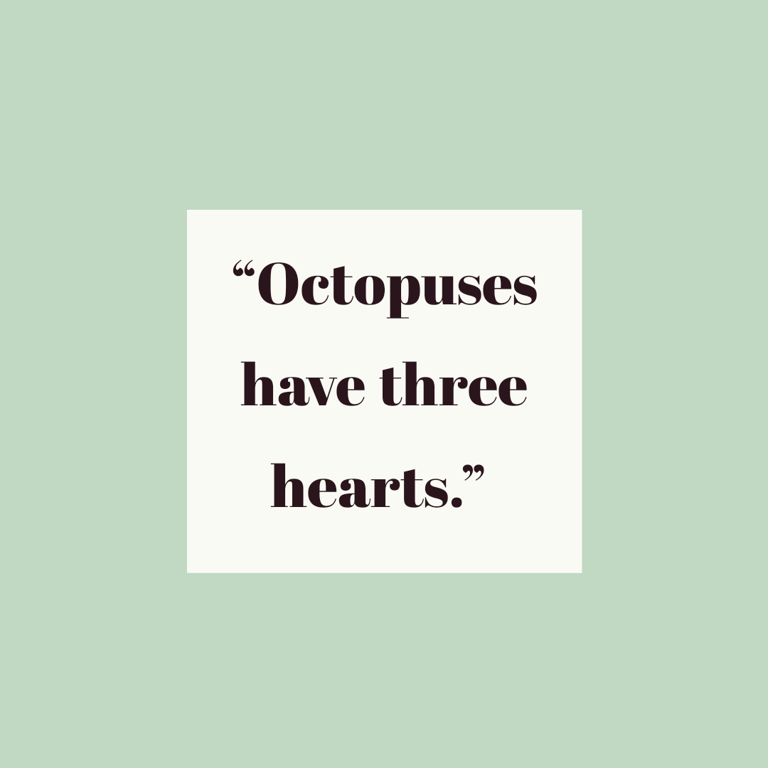 the_code_254's tweet photo. #facts https://t.co/bDOB6RgxKW