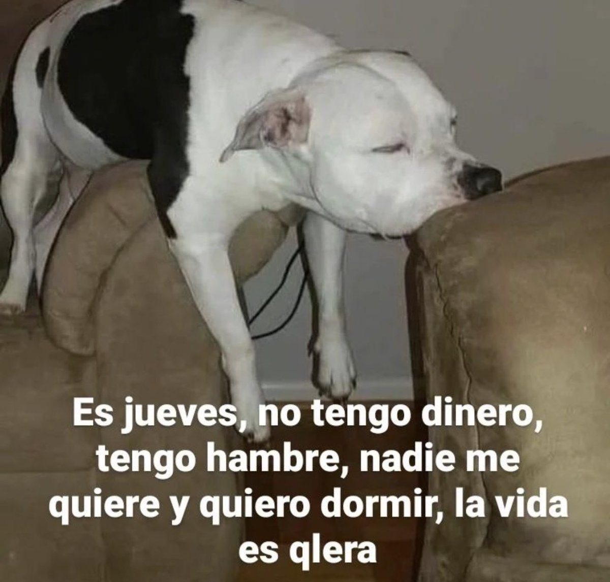 skereunpesado's tweet photo. https://t.co/ge0Seodk2F