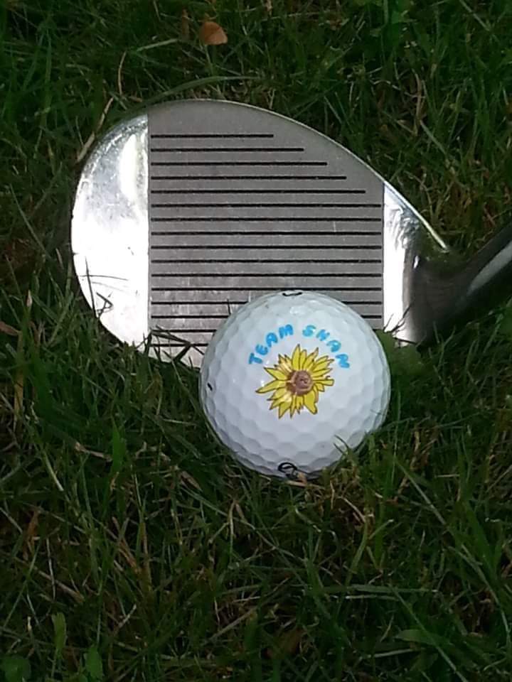 TeamShan's tweet photo. Registration is open for the 14th annual Fore for Shan Golf Tournament hosted by the Haileybury Golf Club in @TemShoresCity ⛳ Proceeds  support @TeamShan Message teamshan@gmail.com ❤️ https://t.co/uUqMnJKH2b