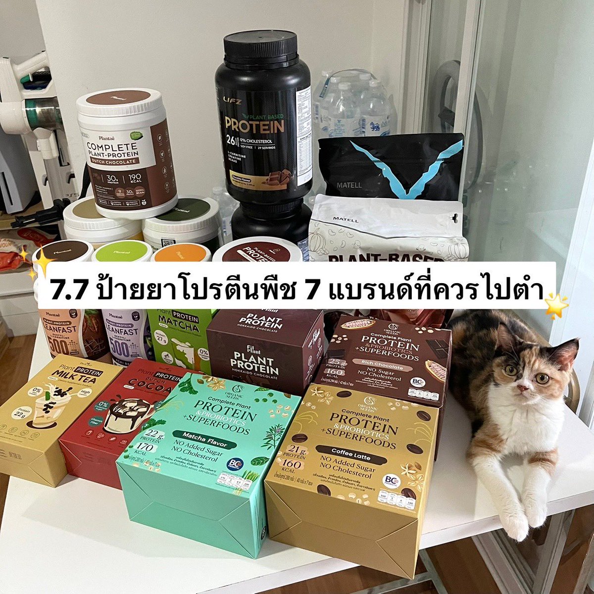 เซฟทวิตนี้ไว้💖
เดี๋ยวจะมาป้ายยาโปรตีนพืช 7 แบรนด์ที่คัดมาให้ว่าดีและควรค่ากับการไปตำ จะเป็นแบรนด์โปรตีนพืชที่บมกินวนอยู่ และการที่จะกินโปรตีนพวกนี้ให้ได้ประสิทธิภาพคือต้องออกกำลังกายควบคู่ด้วยและไม่ควรกินแทนมื้ออาหารหลักนะคะ