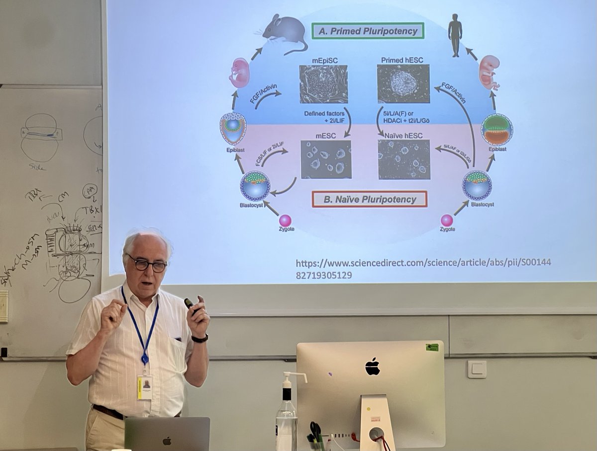 Thanks to <a href="/AMartinezArias/">Alfonso Martinez Arias</a> for his participation to the #ASCB course at <a href="/institutpasteur/">Institut Pasteur, since 1887</a>.
#ASCBcourse #StemCells