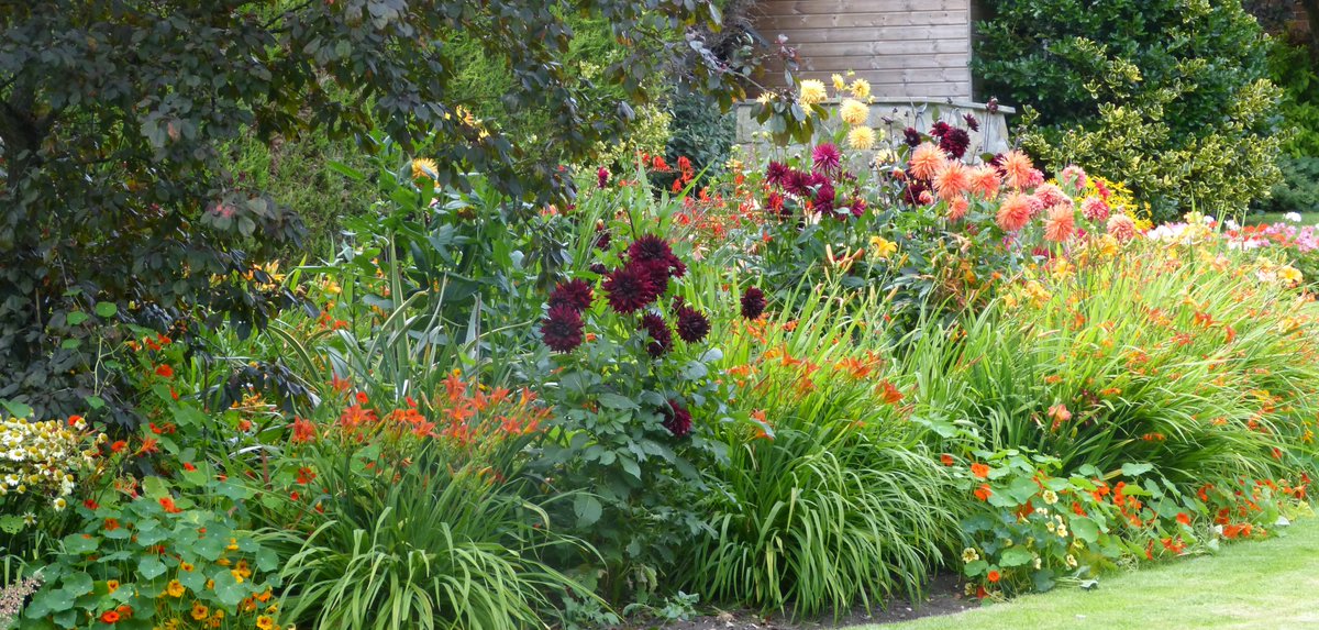 National Garden Scheme on Twitter "📷Stonefield Cottage, North