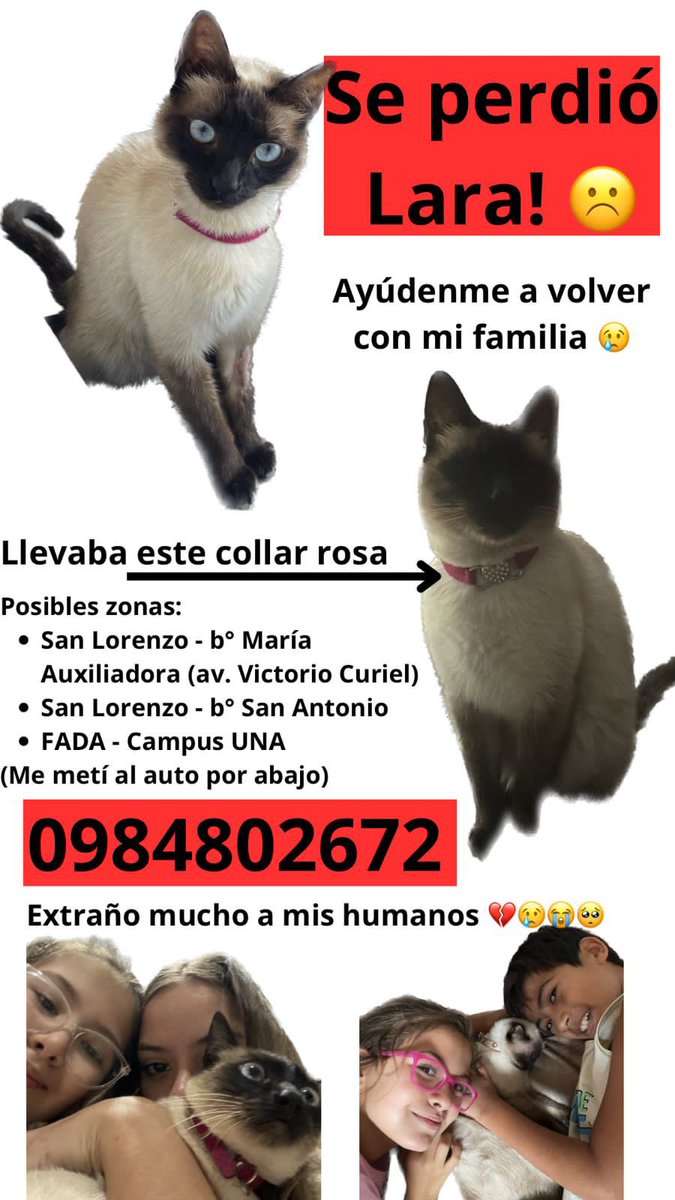 Rt Rt Rt hasta encontrarle al michi
