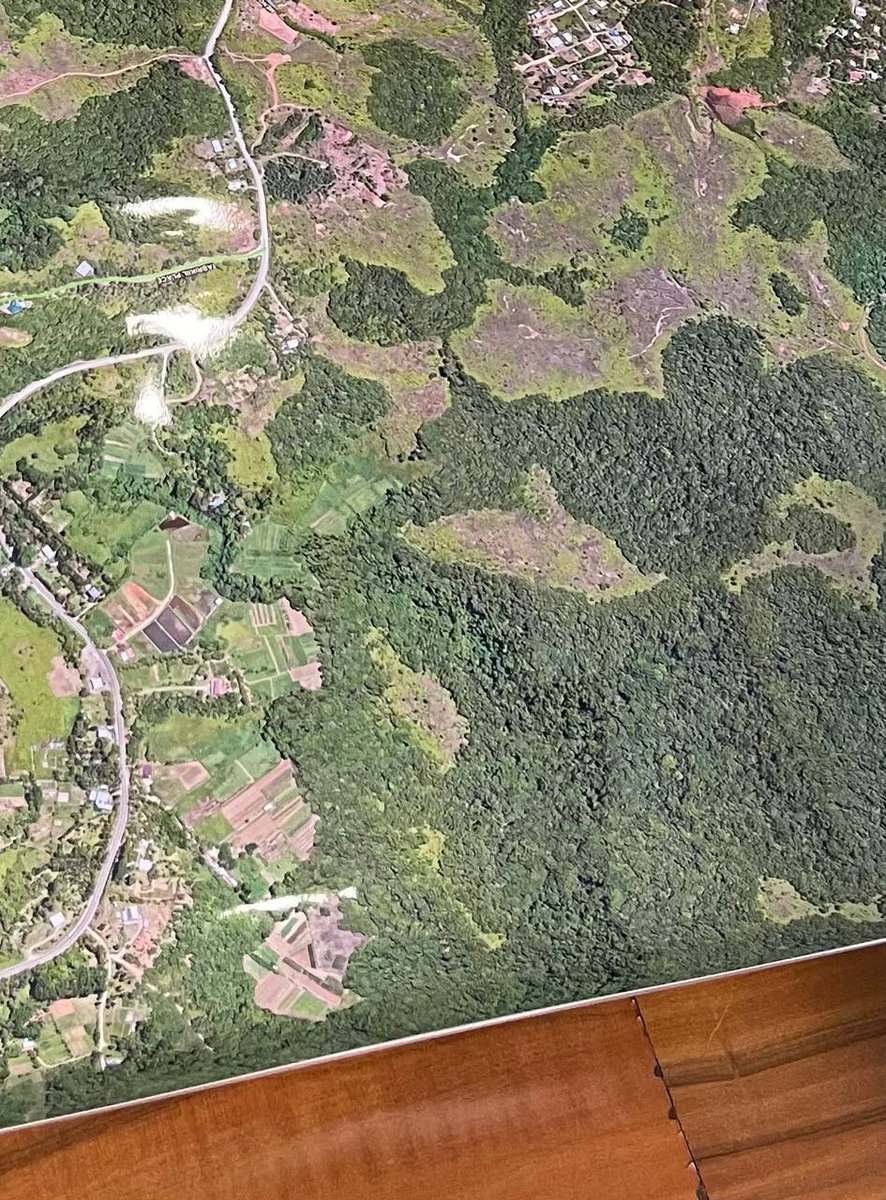 RNS.ID 🌏 tweet media