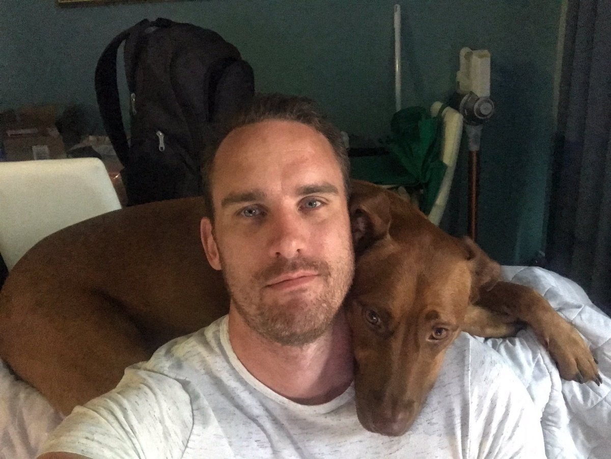 DrNicolasHart's tweet photo. Memories of Baxter snoozing on the headrest of the lounge, on my shoulder and around my neck, including during Zoom meetings. #DogsOfAcademia. Now you know why we get separation anxiety from each other 🐶🤓. https://t.co/fPyin4ufSL