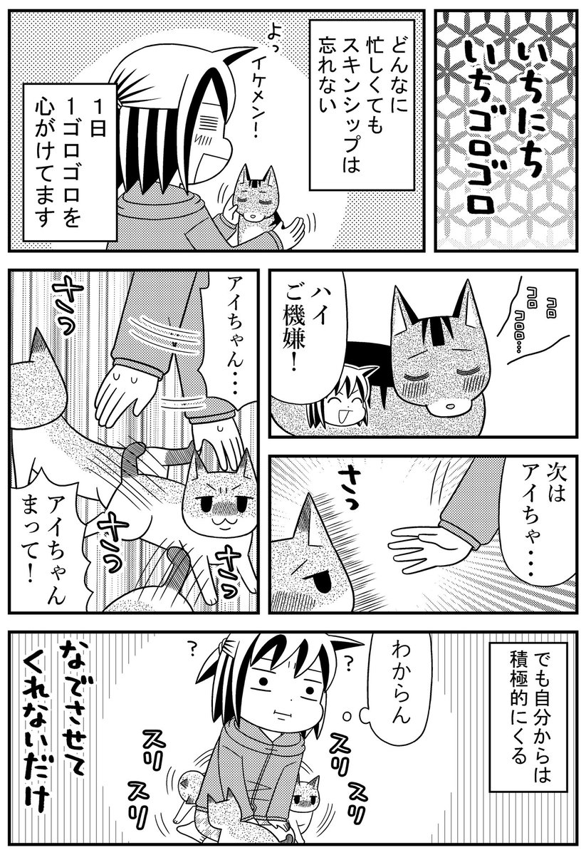 前回 