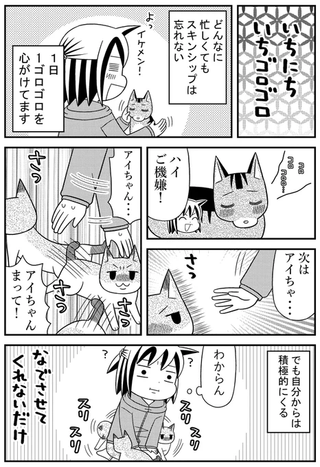 前回 