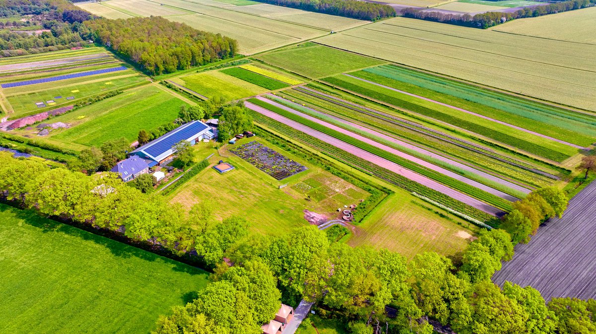 Vacature: Ecologisch Verkoopadviseur. Wil jij ook een belangrijke bijdrage leveren aan biodiversiteitsherstel door het creëren van succesvolle bloemenweides met onze inheemse wilde zaden en planten? Lees onze vacature:
cruydthoeck.nl/media/6a/43/16…