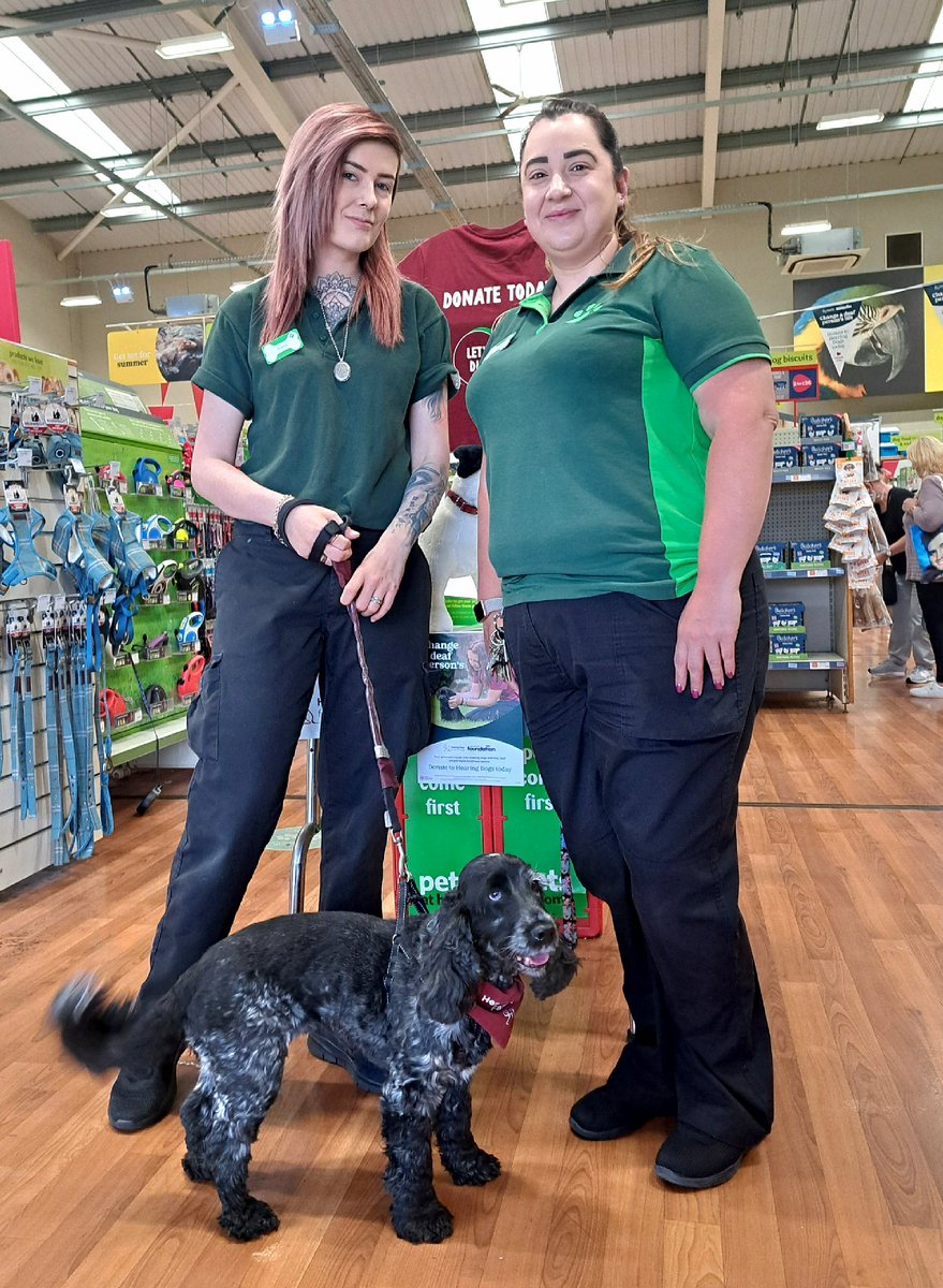 LesleyT999's tweet image. Ambassador Abney here, out on #tailwagging duty at #PetsAtHome #Baguley .  I&apos;s wanted to #saythanks personally to the staff for supporting me an&apos; my pals 🐾 (got #treats as well, wooohooo)

#assistancedog #dogswithjobs #volunteer #puppytrainer #retailtherapy #shoppingopportunity