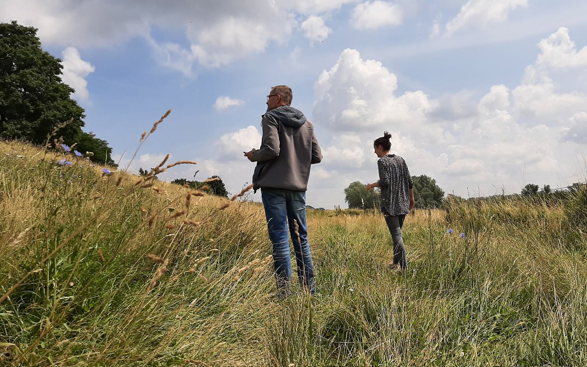 Anthonie Stip tweet media