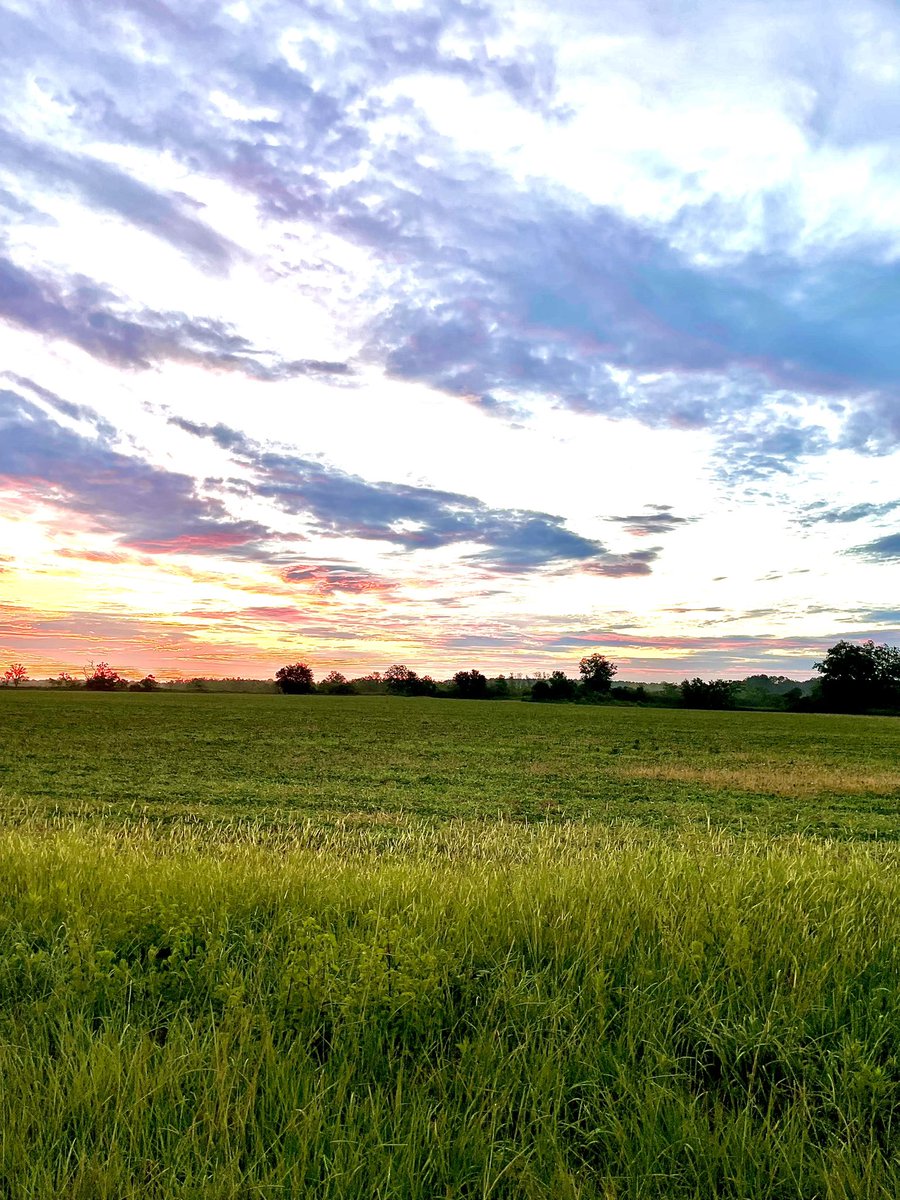 Sunrise in Lower Alabama! https://t.co/EyAuPiKuf1