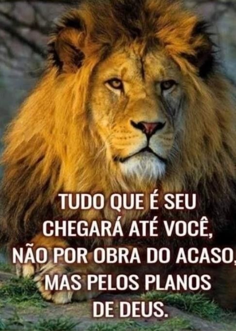 antiquadux91's tweet photo. A tua súplica, às vezes sem palavras com as cicatrizes que só você, e Deus, sabe. 

Vem com a paz do Senhor e com a alegria da permanência! https://t.co/Asxvmv7iGh