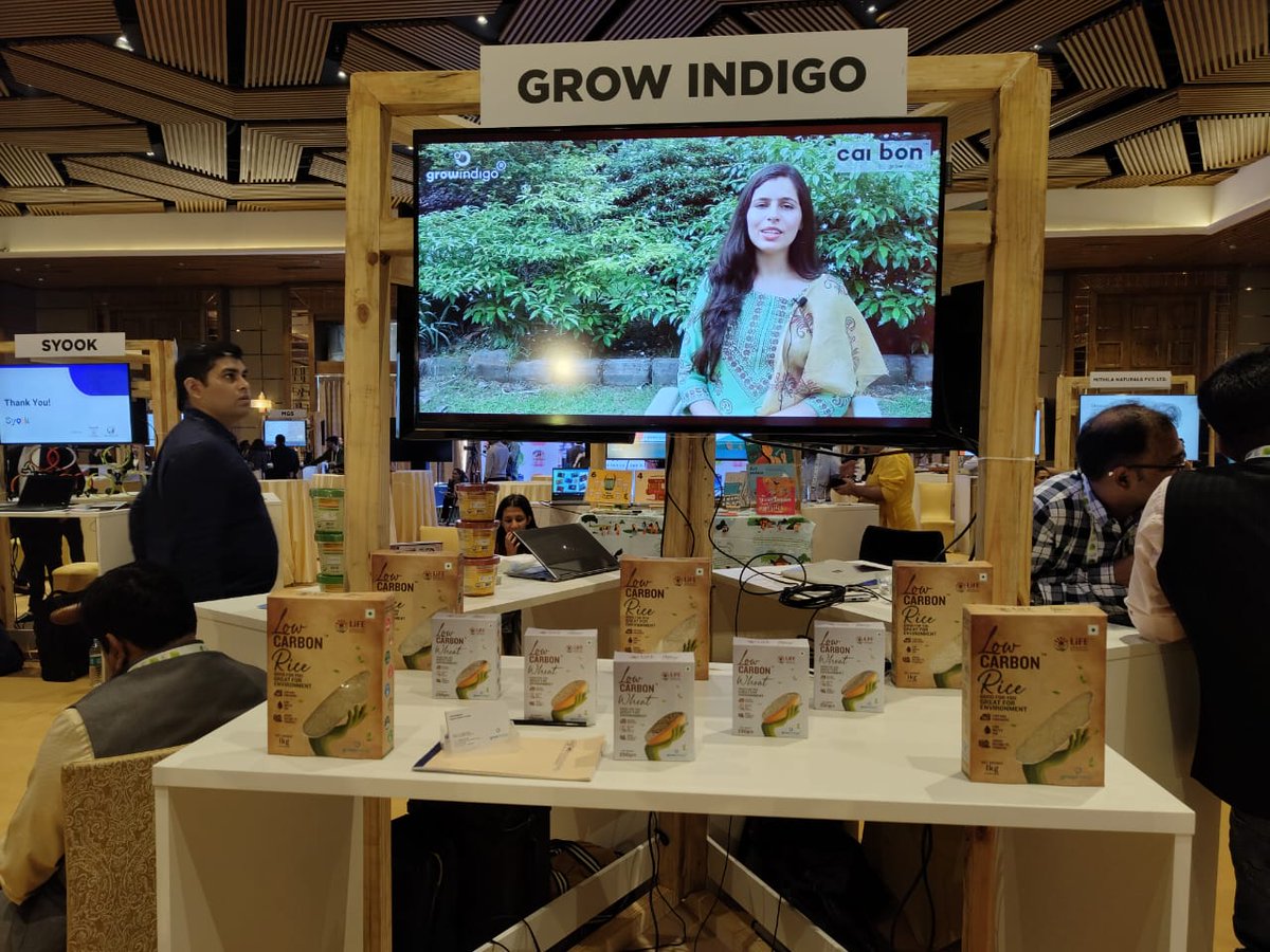 Grow Indigo tweet media