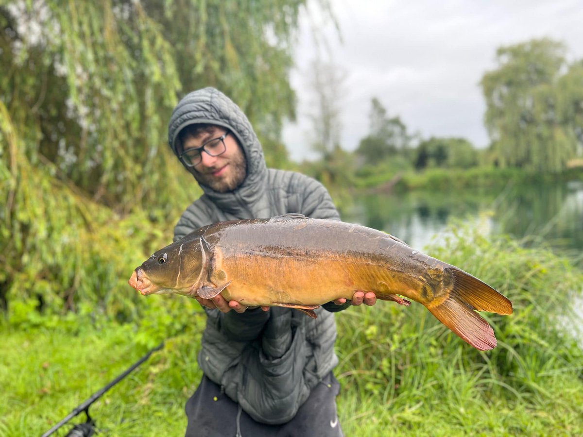 HindersFishing's tweet photo. Not the biggest but definitely pretty, fishing a new venue I managed to get amongst a few with the winning tactic being a Fruit Salad wafter with a spread of C-food and Nut boilies over the top.
Nick

#fruitsalad #nut365 https://t.co/c8Ek9cpTPg