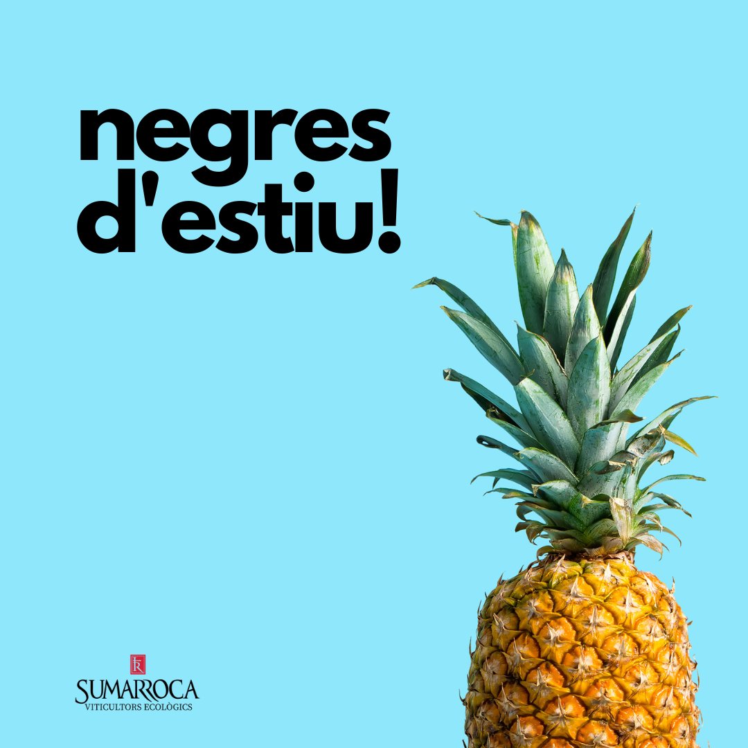 BSumarroca's tweet photo. Us presentem els nostres negres d'estiu!☀️🌸🍧
#estiu #penedes #dopenedes #winelovers #vicatala #igerspenedès #penedesexperience #winetime #wine #negres #ecològic #sumamoments https://t.co/53OOd4QThO