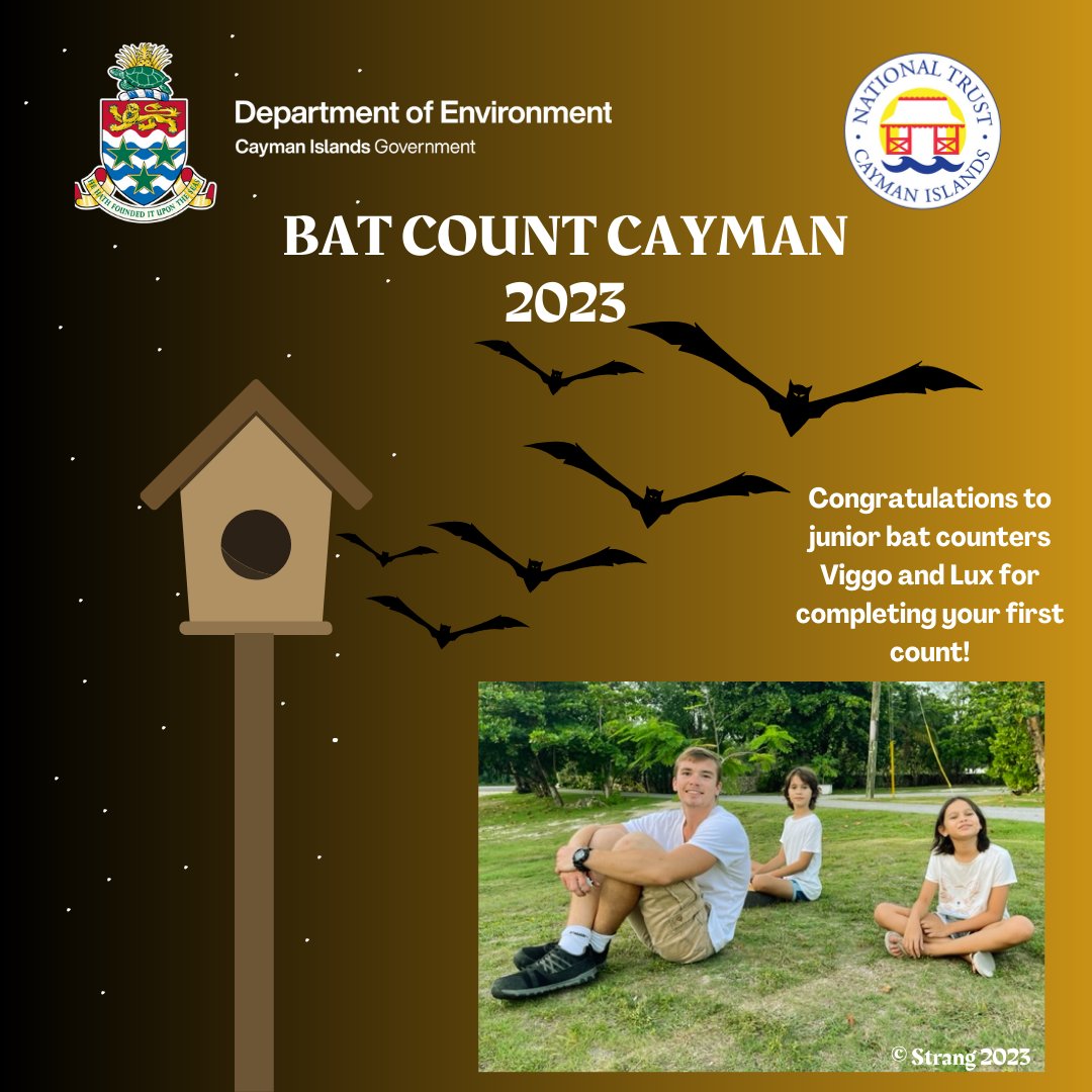 Bat Count Cayman is still going strong. The Strang Family made some new furry flying friends in South Sound. Every night this colony of velvety free-tailed bats can consume thousands of flying insects.