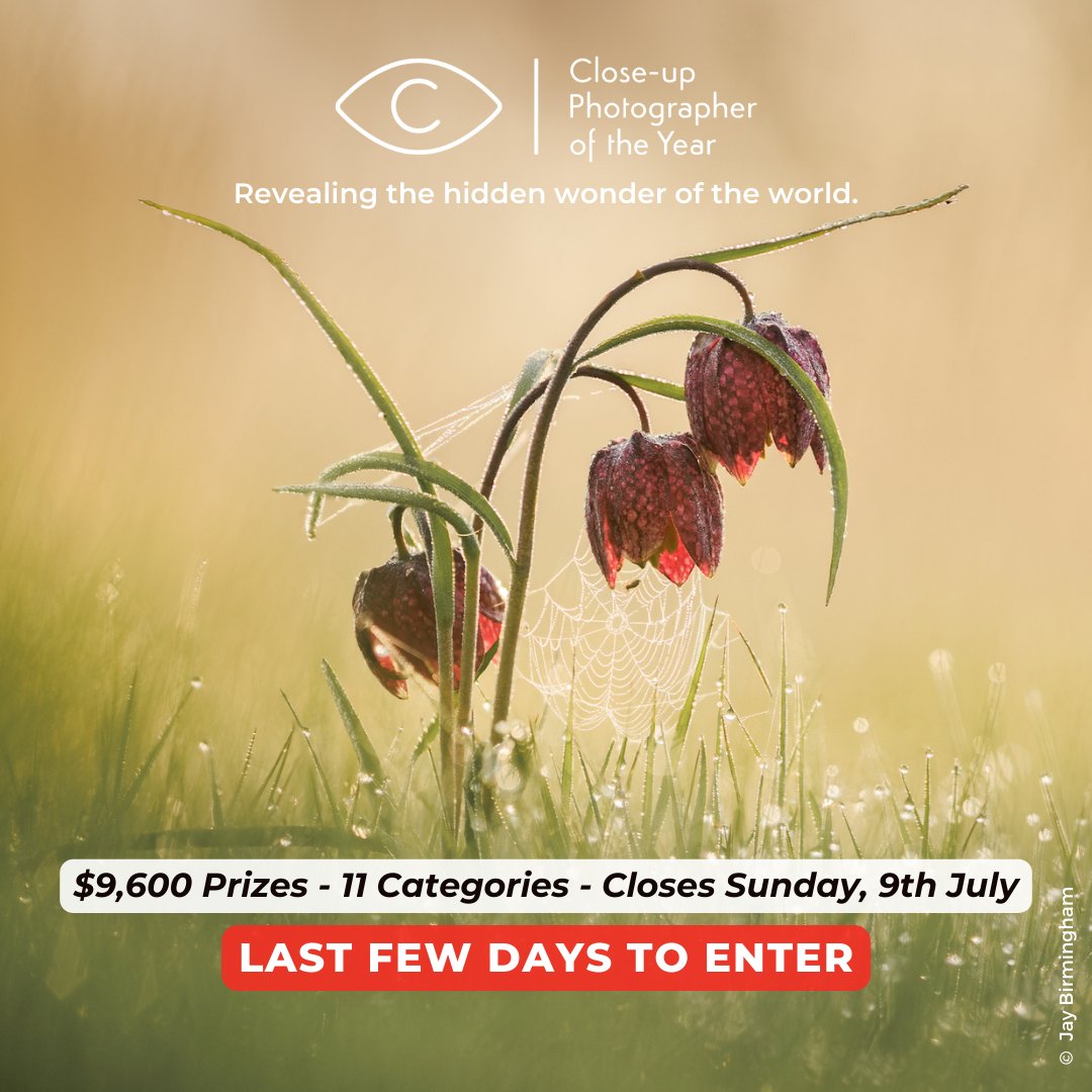 Don't miss out! Win £2,500 ($3,000) and show your work to a global audience. Enter at cupoty.com before 9th July and you can submit your pictures later. It only takes 2 minutes to enter and you have until July 16th to submit your pictures.