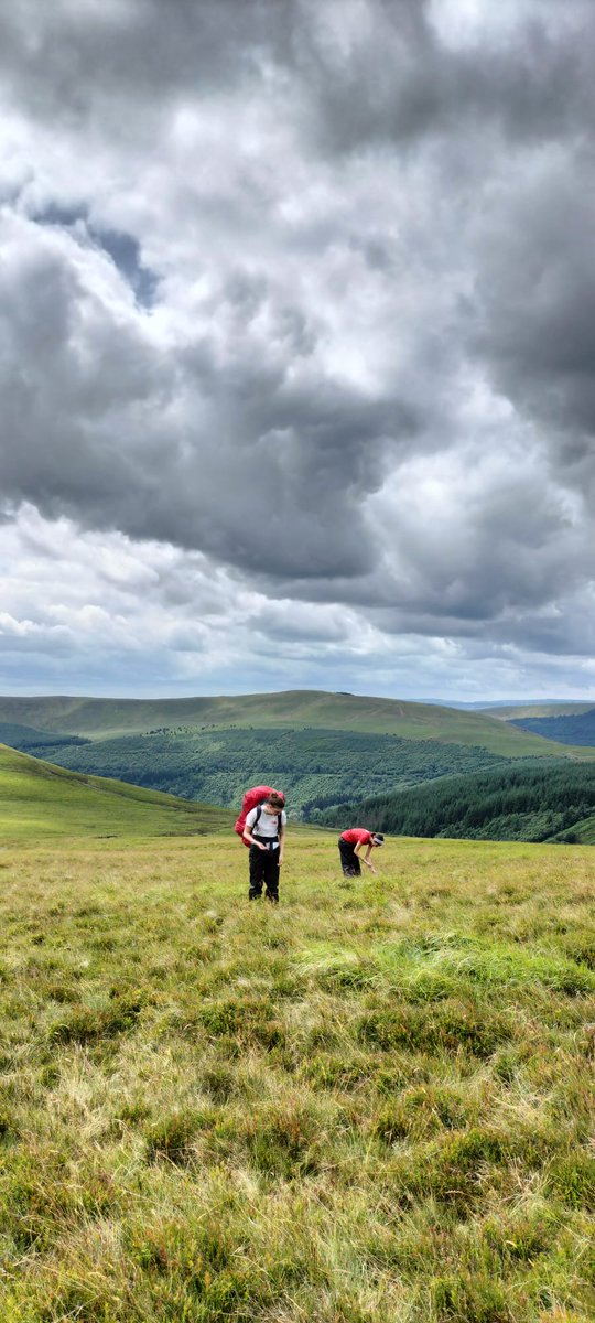 Great start to Gold DofE. The girls are embracing the rest views and picking wild blueberries <a href="/EncounterExpeds/">Encounter Expeditions</a>