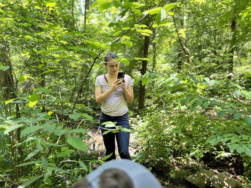 Shenandoah National Park Trust tweet media